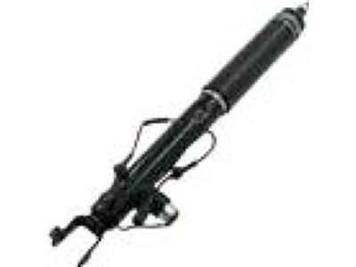 Ford DA5Z-18125-C Shock Absorber Assembly, Passenger Side
