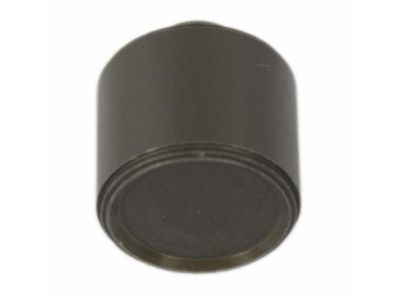 Ford BL3Z-7J191-A Valve Assembly