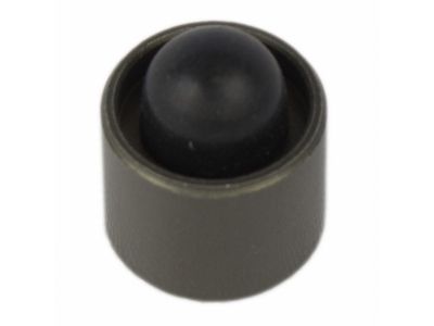 Ford BL3Z-7J191-A Valve Assembly