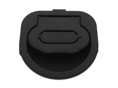 Lincoln 4L7Z-78116A76-AAA Handle
