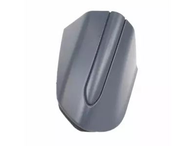 Ford DS7Z-54218A15-AAPTM Bezel, Driver Side