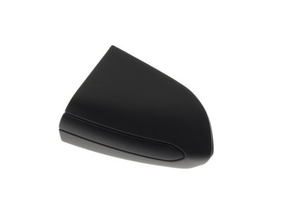 Ford DS7Z-54218A15-AAPTM Bezel, Driver Side