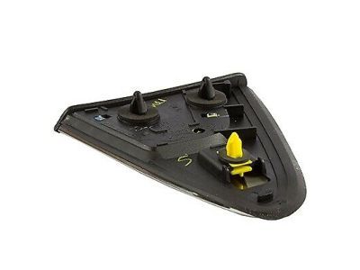 Ford AG1Z-5428166-B Upper Molding