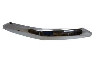 Lincoln 7L7Z-16856-AA Front Molding
