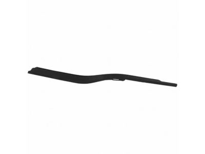 Ford FL3Z-1521453-A Weatherstrip Assembly - Door Window, Driver Side