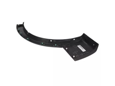 Ford 3L2Z-7829165-CAA Moulding, Driver Side
