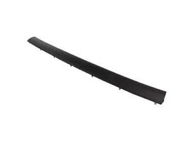 Ford 5S4Z-5425324-A Lower Weatherstrip, Rear
