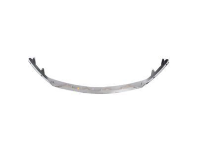 Ford AE5Z-8200-C Upper Grille