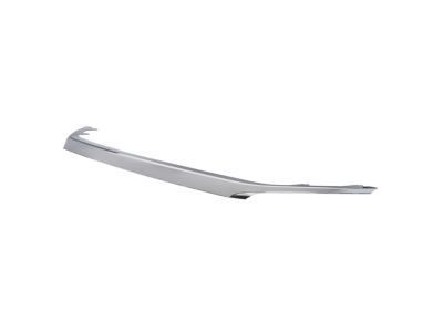 Ford AE5Z-8200-C Upper Grille
