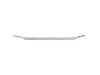 Ford AE5Z-8200-C Upper Grille