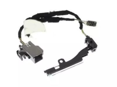 Ford FL3Z-13C742-D Socket And Wire Assembly - Lamp, Passenger Side