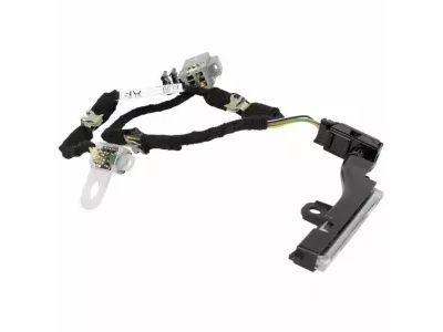 Ford FL3Z-13C742-D Socket And Wire Assembly - Lamp, Passenger Side