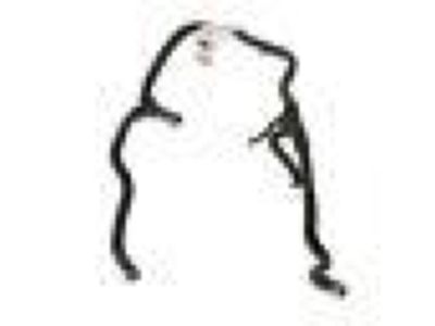 Ford CV6Z-8075-Z Hose Assembly