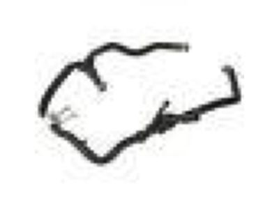 Ford CV6Z-8075-Z Hose Assembly