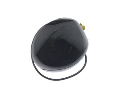 Lincoln DP5Z-10E893-C Satellite Ant