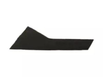Ford FT4Z-58255A35-B Moulding - Door Window Frame, Driver Side
