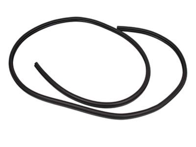 Ford CJ5Z-7820708-B Weatherstrip On Body