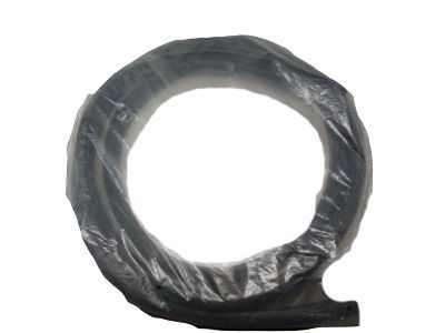 2018 Ford Escape Door Seal - CJ5Z-7820708-B