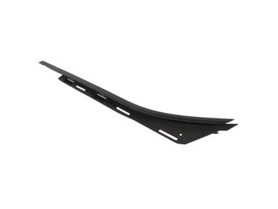 Ford FL3Z-1825597-A Belt Molding, Rear Driver Side