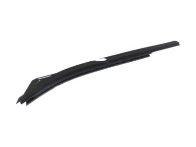 2021 Ford F-250 Super Duty Weather Strip - FL3Z-1825597-A