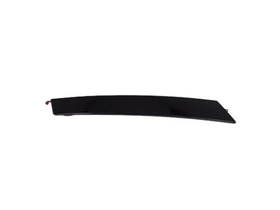 Ford 7T4Z-7841018-AA Rear Molding