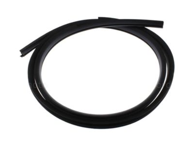 2017 Ford Police Interceptor Utility Door Seal - BB5Z-78253A10-B