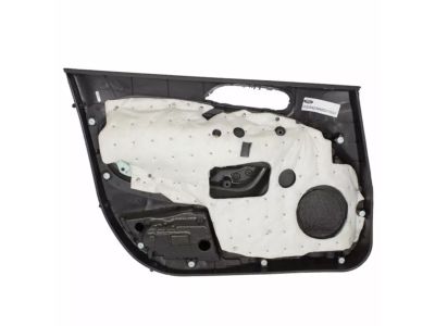 Ford BE8Z-5423942-DB Panel Assembly - Door Trim, Passenger Side
