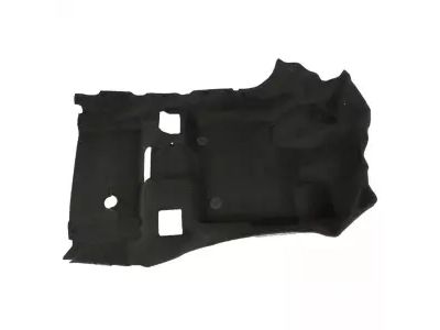Ford DG1Z-5413001-AA Carpet - Floor - Passenger Compartment