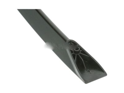 Ford 1F1Z-5403599-AAB Moulding - Windshield