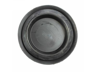 Ford -W651023-S300 Plug