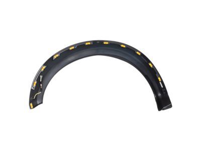 Ford HL3Z-16038-AB Wheel Opening Molding