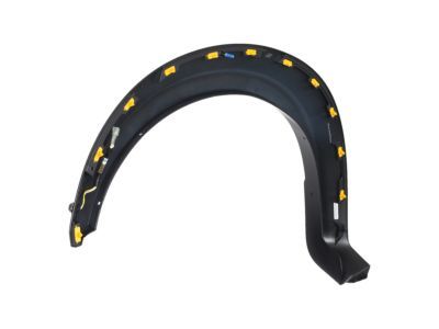 Ford HL3Z-16038-AB Wheel Opening Molding