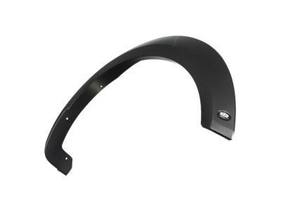 Ford HL3Z-16038-AB Wheel Opening Molding