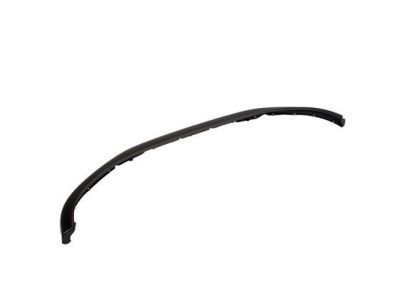 Lincoln 6L3Z-17626-DAPTM Valance Panel