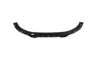 Lincoln 6L3Z-17626-DAPTM Valance Panel