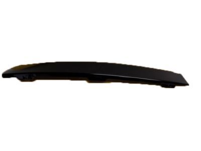 2004 Lincoln Navigator Door Moldings - 4L1Z-78255A35-AAA