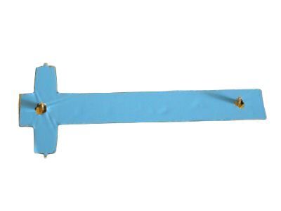 Ford 5L3Z-16720-FB Nameplate, Driver Side