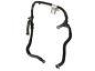 Ford CV6Z-8075-D Hose Assembly