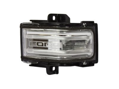 Ford FL3Z-13B374-CA Lamp Assy