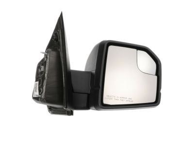 Ford FL3Z-17682-BB Mirror Assembly