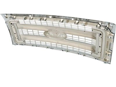 DL3Z-8200-DACP Ford Grille Assembly - Radiator Product Photo 3 of 6