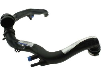 Ford DB5Z-9R530-A Hose Assembly