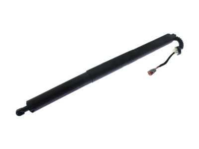 Ford FT4Z-14B351-A Lift Motor, Driver Side