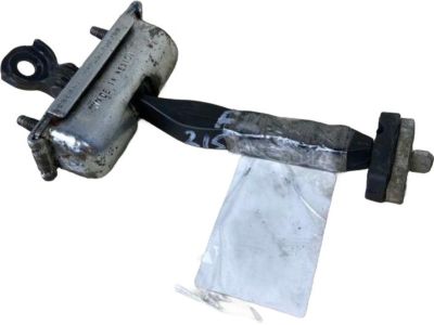 Ford DS7Z-5423552-A Check Assembly - Door