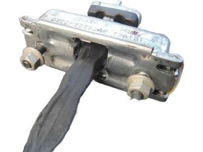 Ford DS7Z-5423552-A Check Assembly - Door