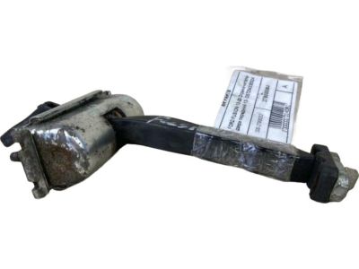 Ford DS7Z-5423552-A Check Assembly - Door