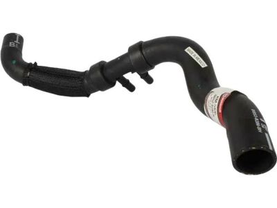 Ford BB5Z-8286-B Hose - Radiator