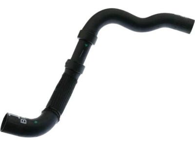 Ford BB5Z-8286-B Hose - Radiator