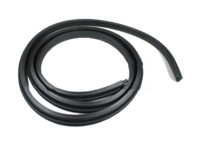 Mercury Mountaineer Weather Strip - F1TZ-7842084-B
