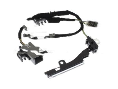 Ford FL3Z-14A318-S Wiring Assy - Interior Lamp